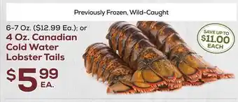 DeCicco & Sons Canadian Cold Water Lobster Tails offer