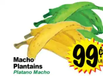 Superior Grocers Macho Plantains offer