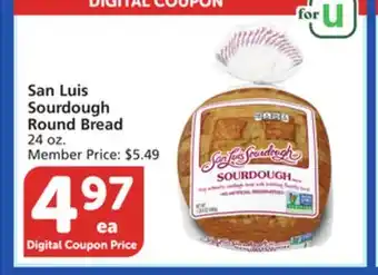 Albertsons San Luis Sourdough Round Bread offer