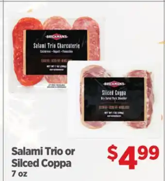 Gordon Food Services Salami Trio or Silced Coppa offer