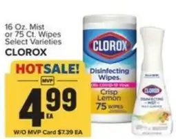 Food Lion Clorox offer