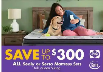 Big Lots Sealy Or Serta Mattress Sets offer