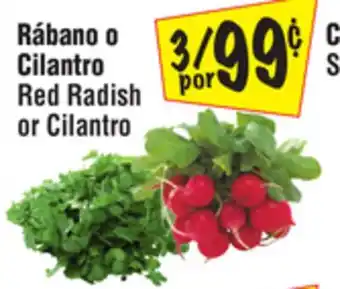 El Super Red Radish or Cilantro offer