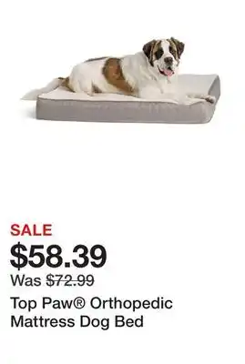 Petsmart Top Paw Orthopedic Mattress Dog Bed offer