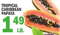 Bravo Supermarkets TROPICAL CARIBBEAN PAPAYA offer