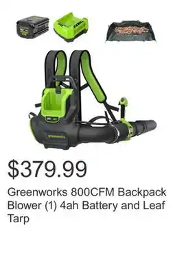 Costco Greenworks 800CFM Backpack Blower (1) 4ah Battery and Leaf Tarp offer