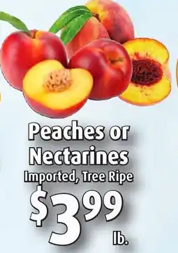 Gristedes Peaches or Nectarines offer