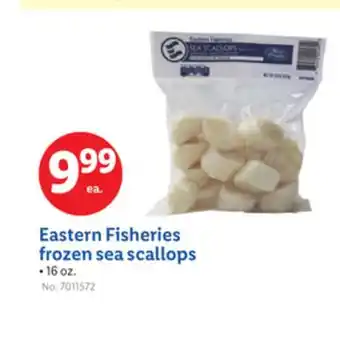 Lidl Eastern Fisheries frozen sea scallops offer