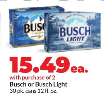 Hy-Vee Busch or Busch Light offer