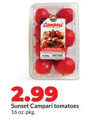 Hy-Vee Sunset Campari tomatoes offer