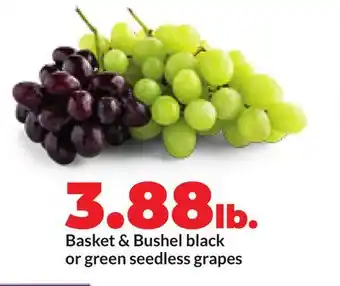 Hy-Vee Basket & Bushel black or green seedless grapes offer