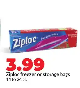 Hy-Vee Ziploc freezer or storage bags offer