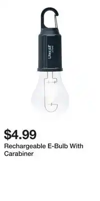 Big Lots Rechargeable E-Bulb With Carabiner offer