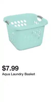 Big Lots Aqua Laundry Basket offer