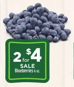 Dollar General Blueberries offer