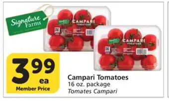 Vons Campari Tomatoes offer