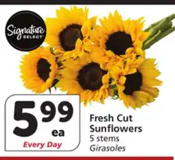 Vons Fresh Cut Sunflowers offer