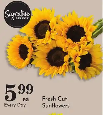 Pavilions Fresh Cut Sunflowers offer