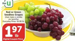 Albertsons Red or Green Seedless Grapes offer