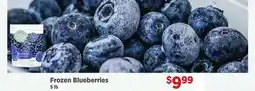 Gordon Food Services Frozen Blueberries offer