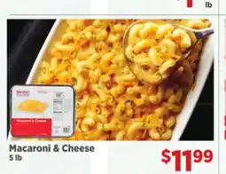 Gordon Food Services Macaroni & Cheese offer