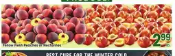 Jewel-Osco Yellow Flesh Peaches or Nectarines offer