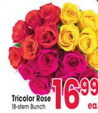 Jewel-Osco Tricolor Rose offer