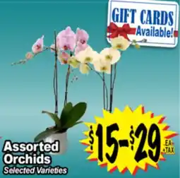 Superior Grocers Assorted Orchids offer