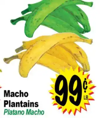 Superior Grocers Macho Plantains offer