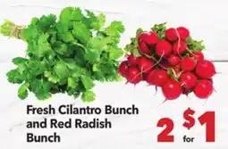 Vallarta Supermarkets Fresh Cilantro and Red Radish Bunch offer