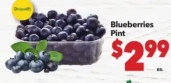 Vallarta Supermarkets Blueberries Pint offer