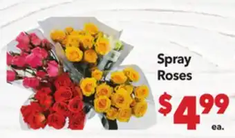 Vallarta Supermarkets Spray Roses offer