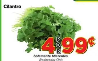 El Super Fresh Cilantro offer