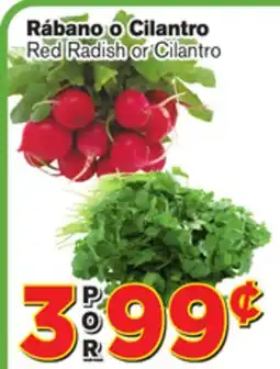 El Super Fresh Red Radish or Radish offer