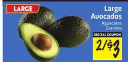 Foodmaxx Large Avocados offer