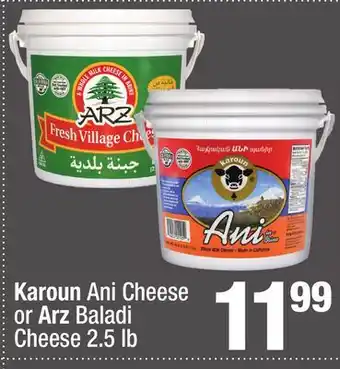 Super King Markets Karoun Ani Cheese or Arz Baladi Cheese offer