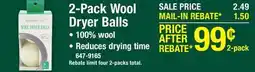 Menards Richard Wool Dryer Balls - 2 Count offer