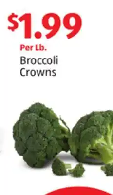 Aldi Broccoli Crowns offer