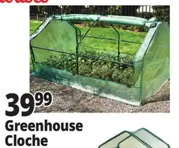 Ocean State Job Lot Tiller & Rowe Greenhouse Cloche offer