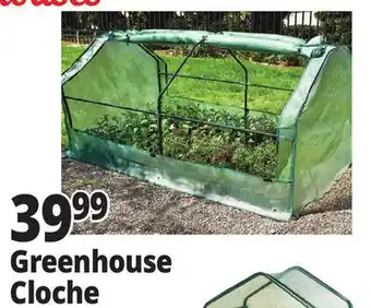 Ocean State Job Lot Tiller & Rowe Greenhouse Cloche offer