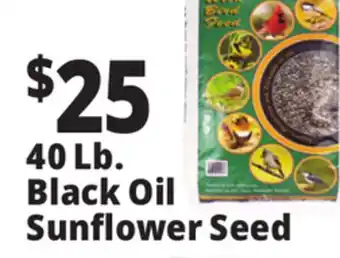 Ocean State Job Lot Black Oil Sunflower Seeds 40 lbs offer