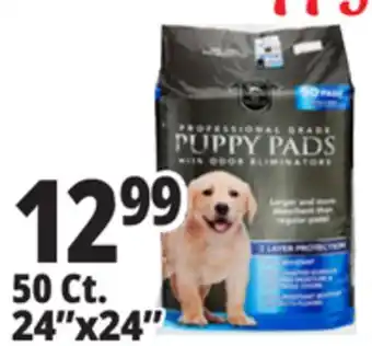 Ocean State Job Lot 24x24 Puppy Pads with Odor Eliminators 50 Count offer