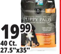 Ocean State Job Lot Huntington Pet Products Professional Grade 27.5 x 35 Puppy Pads with Odor Eliminators 40 Count offer