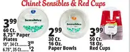 Ocean State Job Lot Disposable Serveware offer