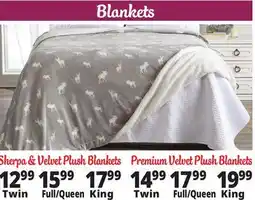 Ocean State Job Lot Blankets offer