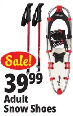 Ocean State Job Lot Adult Snowshoes with Carry Bag and Trekking Poles offer