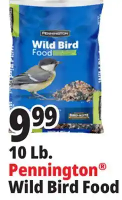 Ocean State Job Lot Pennington Wild Bird Food 10 lbs offer