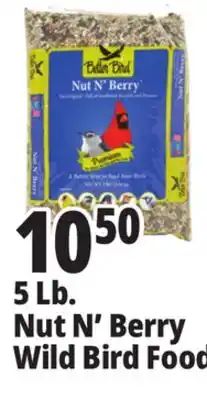 Ocean State Job Lot Better Bird Premium Nut N' Berry Bird Food 5 lbs offer