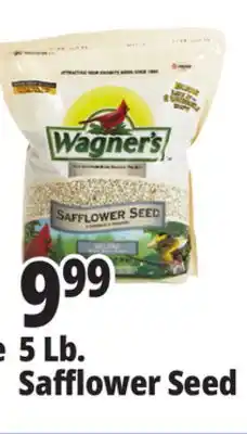 Ocean State Job Lot Wagner's Safflower Seed Deluxe Wild Bird Food offer