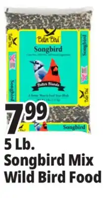 Ocean State Job Lot Better Bird Songbird Better Blends Food 5 lbs offer